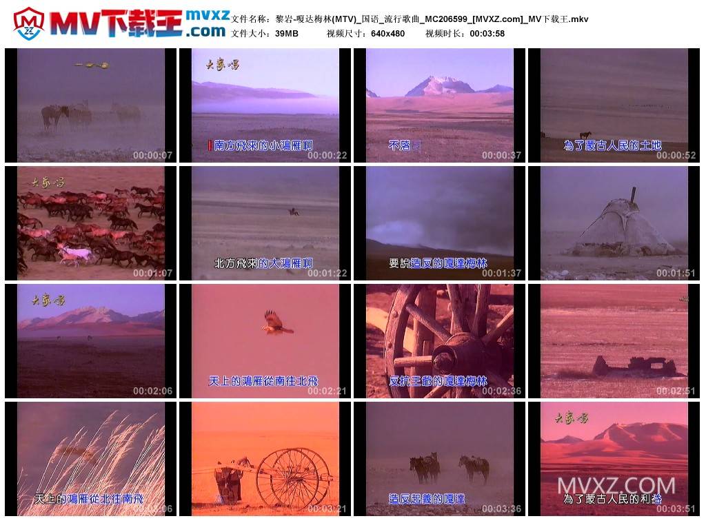 黎岩-嗄达梅林(MTV)_国语_流行歌曲_MC206599